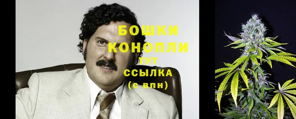 2c-b Алзамай