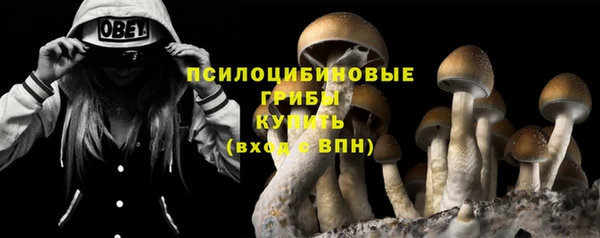 синтетический гашиш Алексеевка