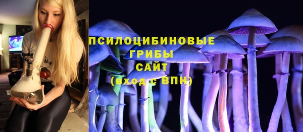 синтетический гашиш Алексеевка