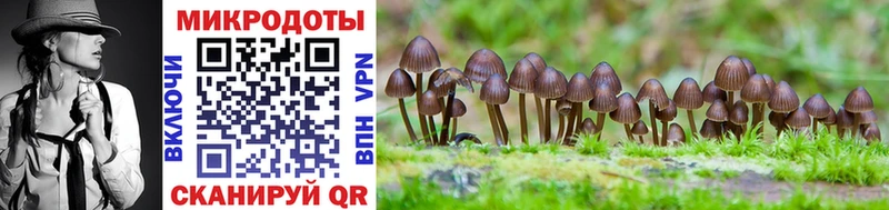 Псилоцибиновые грибы MAGIC MUSHROOMS  Узловая 